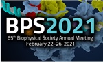 Congratulations BPS 2021 Poster Award Winners!