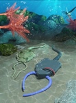 How Ancient Sea Creatures can Inform Soft Robotics