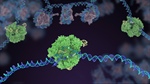 CRISPR: Facts, Myths, and How to Engage the Public