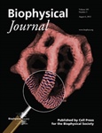 Biological Membrane Goes from Sphere to Reticular Structure on BJ's Latest Cover
