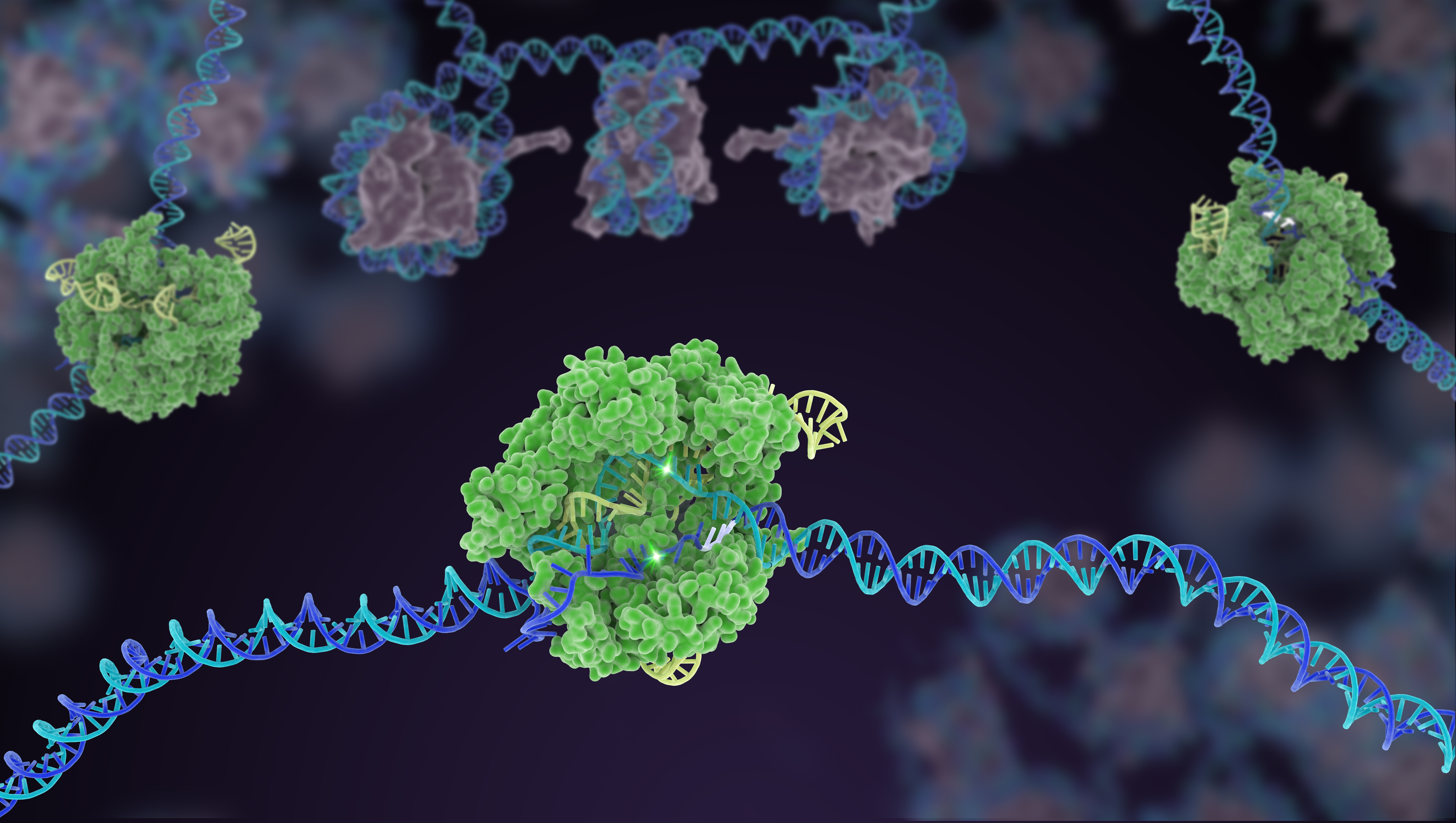 Рнк бактерии. CRISPR cas9. Редактирование Гена CRISPR‐cas9. CRISPR/cas9 редактирование генов. Криспер КАС система.