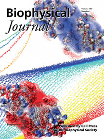 Biophysical Journal July 18 Cover