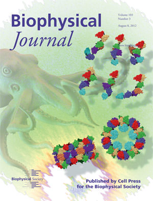 Cover of the Aug. 3rd Biophysical Journal