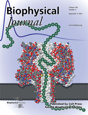 BiophysJ Cover Image - Sept. 4