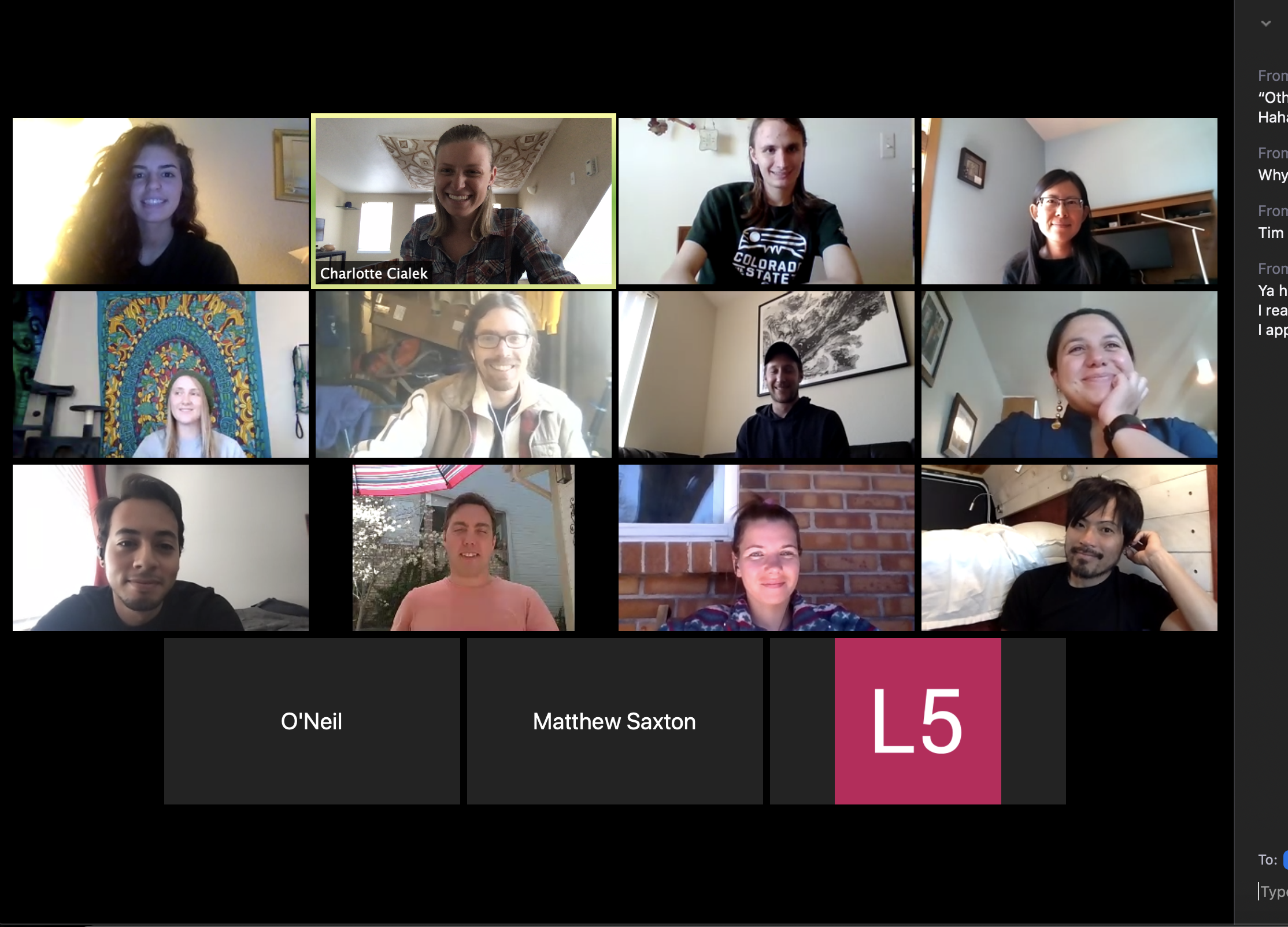 The "new normal": our weekly lab group meetings by video call. Starting in the top left corner: Claire Baptiste, Charlotte Cialek, Hunter Ogg, Dr. Ning Zhao, Hailey Sanders, Dr. Phil Fox, Eric Ron, Dr. Linda Forero, Gabriel Galindo, Dr. Tim Stasevich, Amanda Koch, Dr. Tatsuya Morisaki, Dr. O’Neil Wiggan, Matt Saxton, and Dr. Luis Aguilera