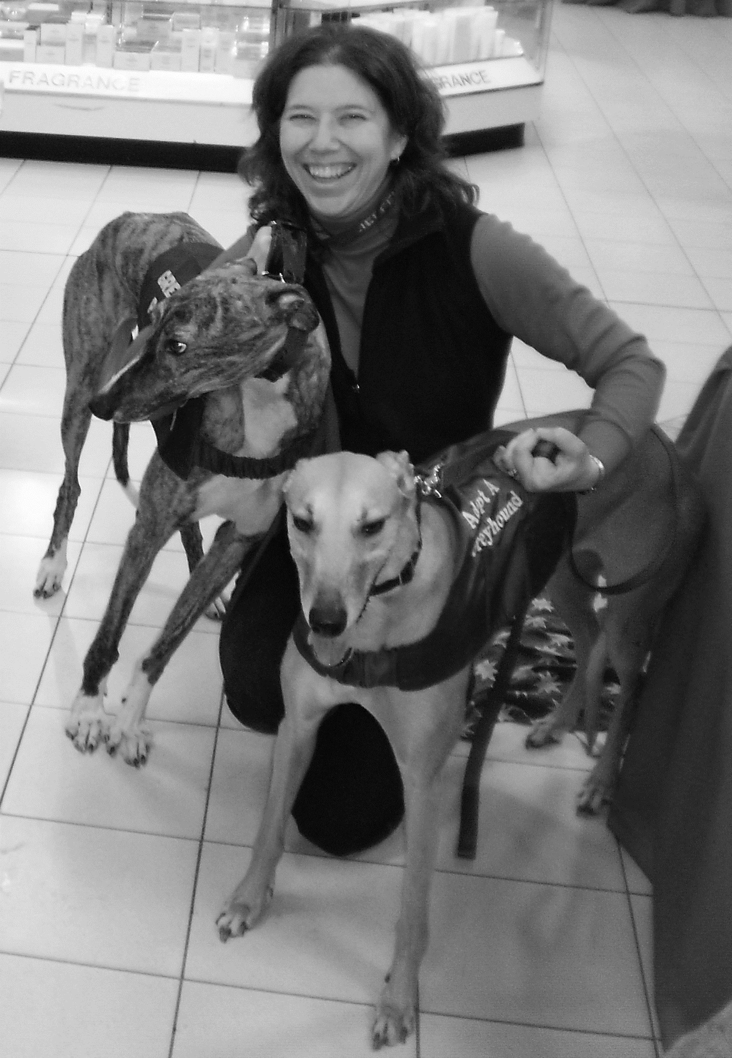 Beck with her adopted greyhound dogs, Murray and Tina.