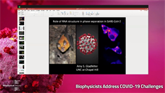 Amy Gladfelter | Biophysicists Address...