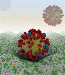 The Science Behind the Image Contest Winners:  Influenza A Virus and Mammalian Plasma Membrane Models