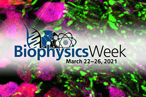 Celebrate Biophysics Week 2021