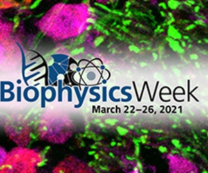 Celebrate Biophysics Week 2021