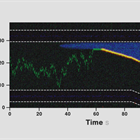 Single-Molecule Forces, Manipulation & Visualization