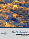 Celebrating One Year of The Biophysicist