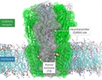 Biophysics and Thyroid Conditions