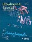 Probing Protein Conformational Variation by Inter-Metal Distance Measurement