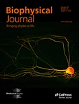 Tau Mislocation and Loss of Synaptic Function