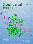 Ligand Binding Pathways to the p38 Kinase