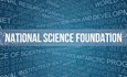 Inside Perspectives and Opportunities: NSF Grants