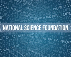 Inside Perspectives and Opportunities: NSF Grants