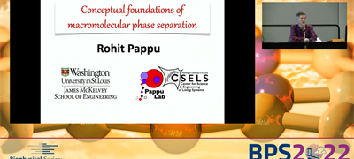 Biophysics 101 - Liquid-Liquid Phase Separation: Biophysical Fundamentals to Cellular Function