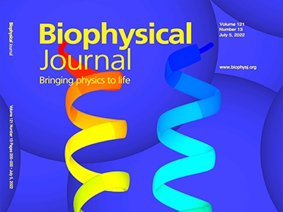 Another Hard Look at Macromolecular Crowding Pays Off