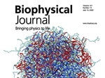 Order-Disorder and Liquid-Solid Transition in Protein Assemblies