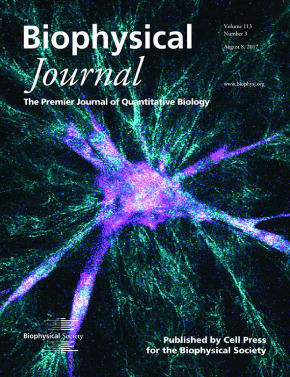 The extracellular matrix (ECM) provides important structural support for cells in multicellular tissues and it also plays a role in guiding migration. 