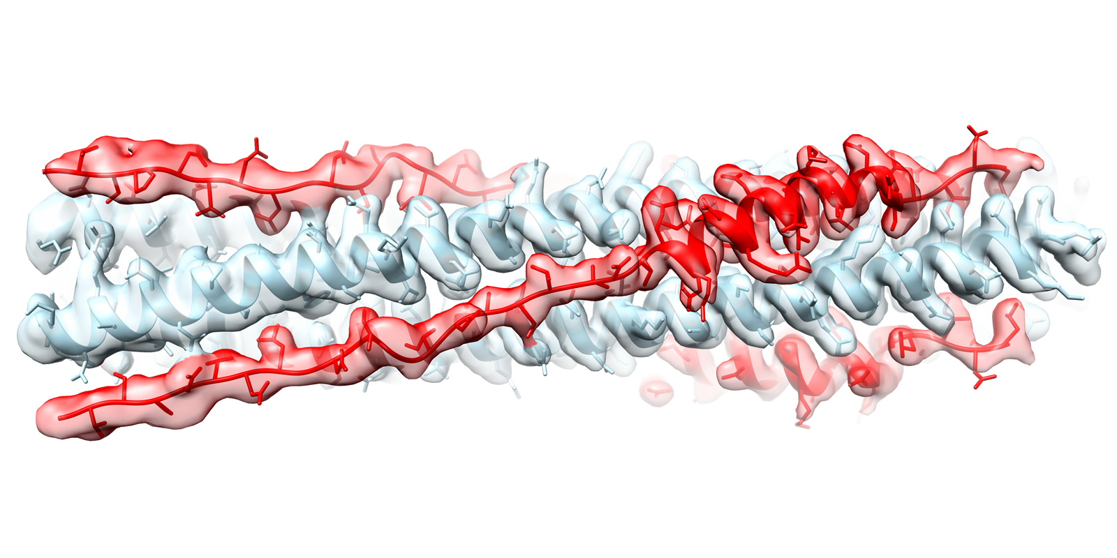 Weaponizing Part of the SARS-CoV-2 Spike Protein Against Itself to Prevent Infection