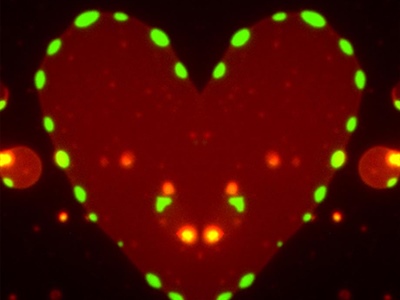 The Art of Science: The Heart of Science
