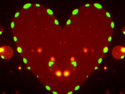 The Art of Science: The Heart of Science