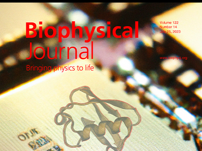 Issue: Biophysical Journal