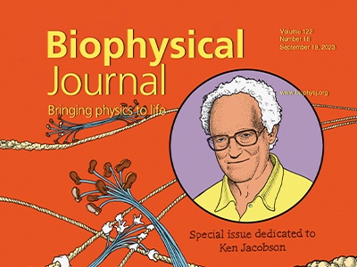 Nonmuscle Myosin 2 Keeps on Truckin’ in this Special Issue Dedicated to Ken Jacobson