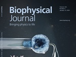 Quantifying Both Viscoelasticity and Surface Tension of Cells by Using Profile Microindentation