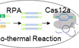 Faster Monkeypox (mpox) Testing Through CRISPR