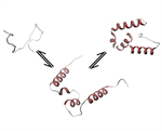 The Multiverse of Protein Disorder