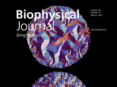 Films of Curved Microorganisms Grow Differently