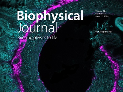 Second Harmonic Imaging and Indentation Microscopy Decipher Biomechanics of the Enteric Nervous System