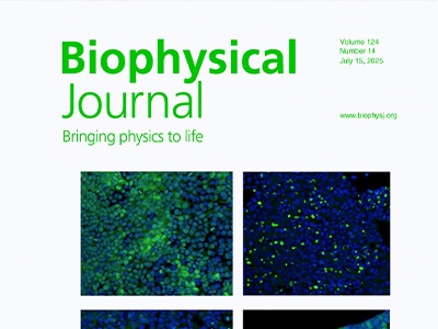 Tau Aggregation from Minimal Peptides