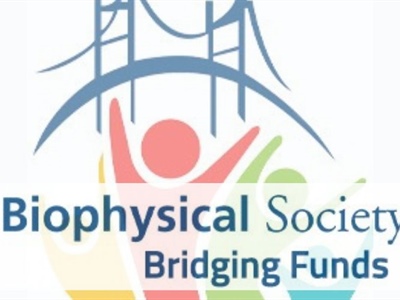 Biophysical Society Expands the Bridging Funds Program