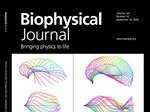Exploiting Genetics to Answer Biophysical Questions