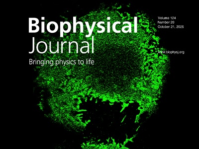 Super-Resolution Imaging Reveals PIP2 Nanoscale Clusters in Immune Cells