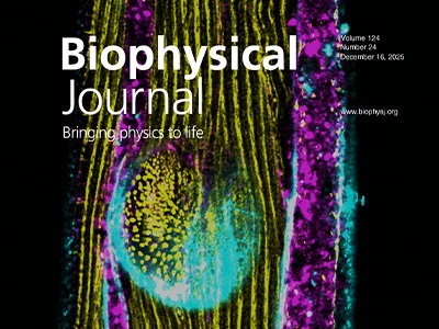 Muscles Sensing Their Own Work