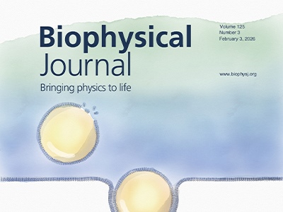 Painting the Birth of an Artificial Cell