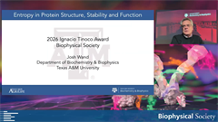 2026 Ignacio Tinoco Award of the Biophysical...