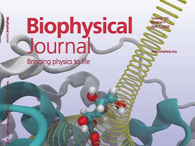Atomistic Simulation of D-Galactonate Release