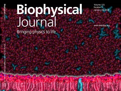The CG Model of the Polypeptide Exit Tunnel in Ribosomes Captures the Dance of the Newly Translated Proteins