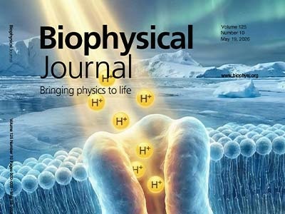 A New Direction for Light: Schizorhodopsins beyond the Asgard Archaea