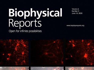 Inhibition of the ATP Synthase c-Subunit Leak Channel with Bedaquiline  Rescues Excitotoxic Cell Death in Neurons
