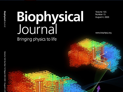 From Colorful Folds to Chromatin Physics