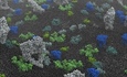 Lipids Feeling the World