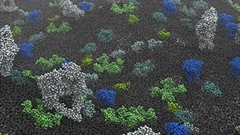 Lipids Feeling the World